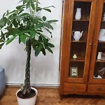 Old Town Escape Apartman