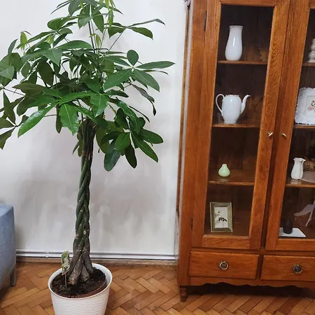 Old Town Escape Apartment