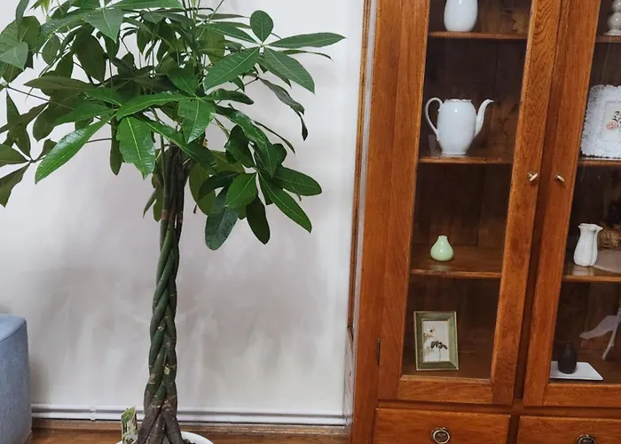 Old Town Escape Apartment