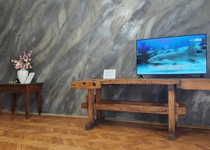 Old Town Escape * Temešvár