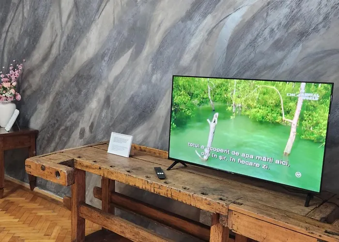 Old Town Escape * Temešvár